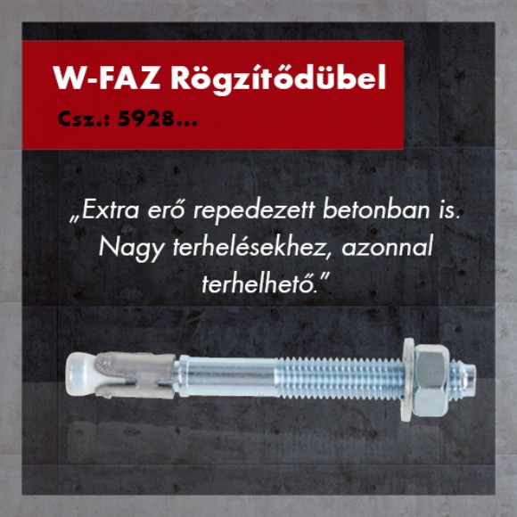 kép