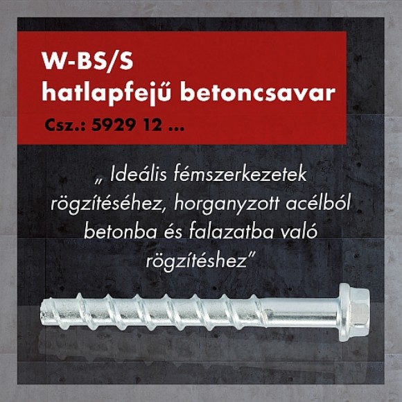 Kép